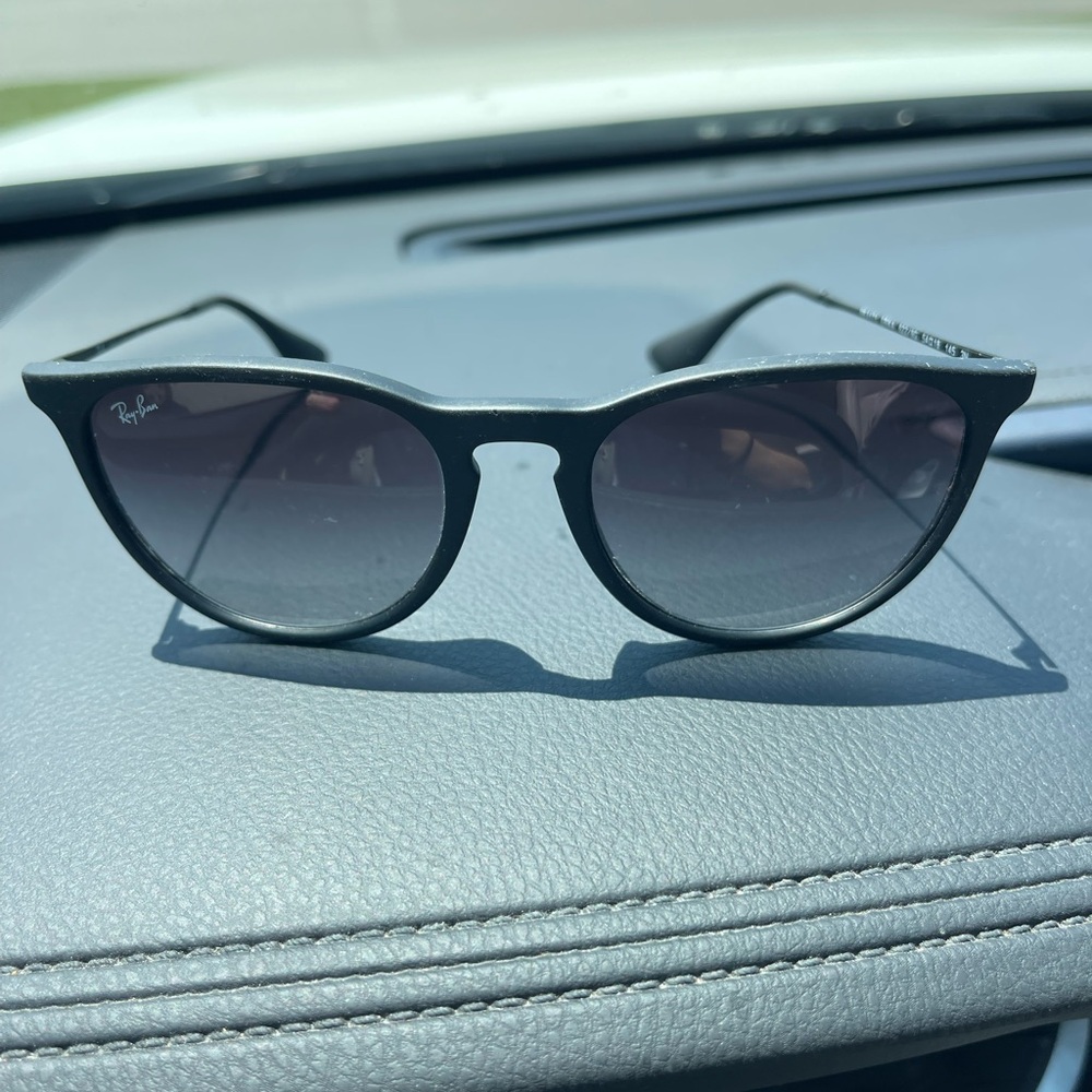 Ray-Ban Erika Black Sunglasses